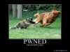 633770427812206895-Pwned.jpg
