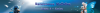logo2.png