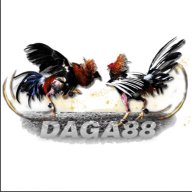 Daga88