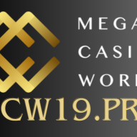 mcw19pro