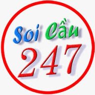 soicautop247