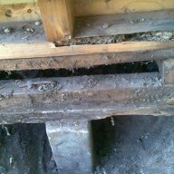 mrtermite