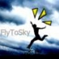 FlyToSky