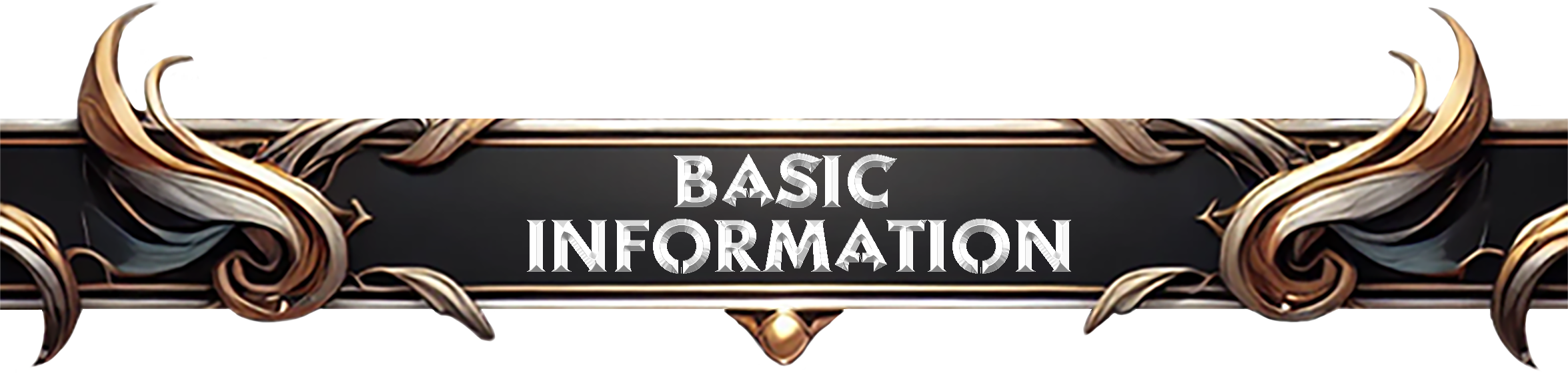 02-Basic-Information.png